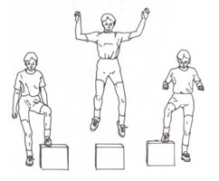 plyo box exercises